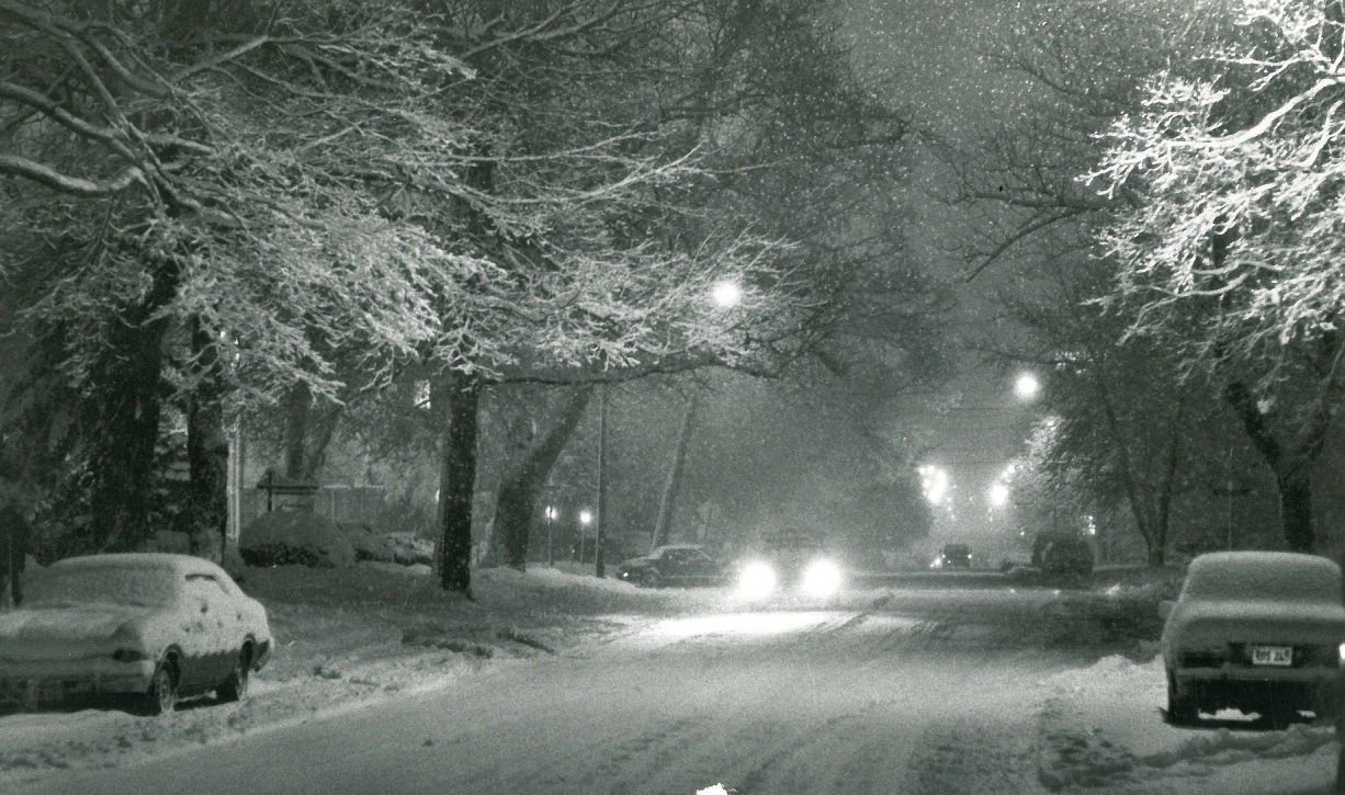 1981